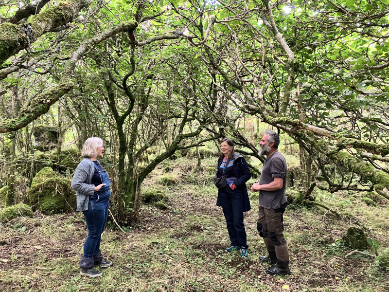 Ariane Burgess (centre) standing in a forest with crofters Sam (left) and Alasdair Firth