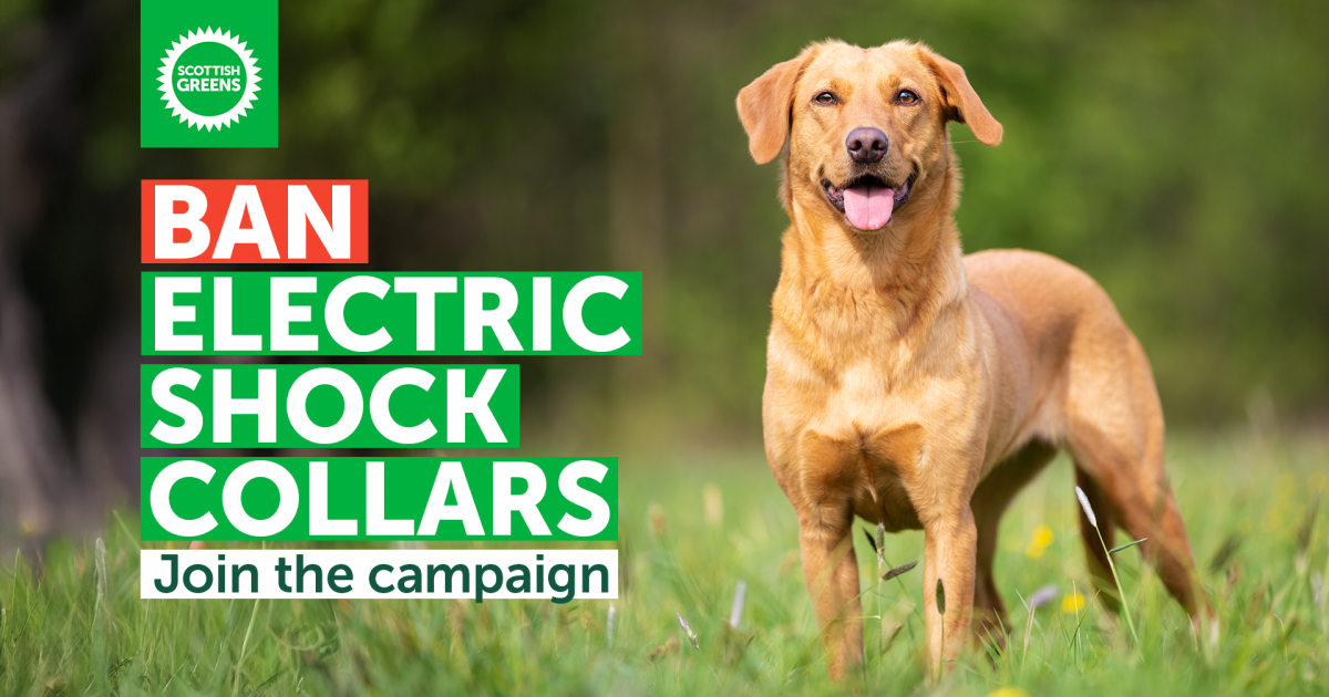 Ban electric shock collars. Join the campaign.